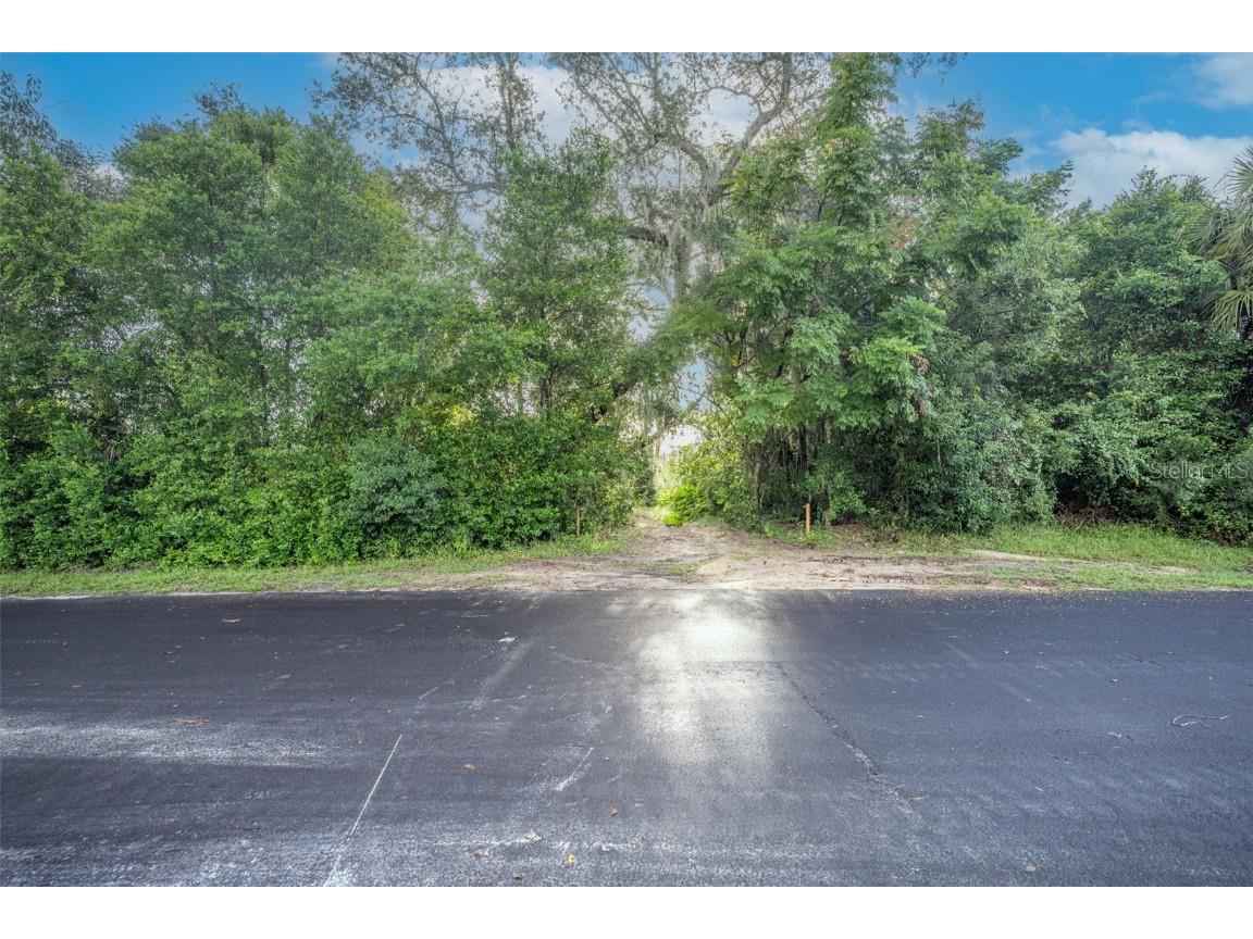 2163 Van Orman Drive Deltona FL 32725 - DUPONT V4945326 image3