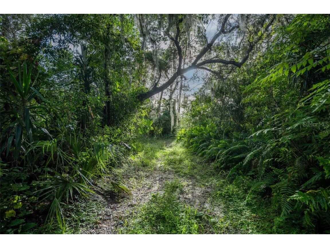 2163 Van Orman Drive Deltona FL 32725 - DUPONT V4945326 image5