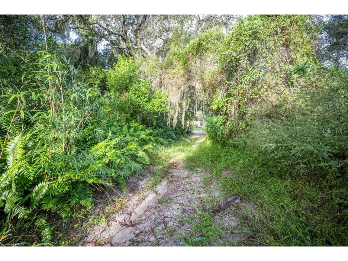 2163 Van Orman Drive Deltona FL 32725 - DUPONT V4945326 image6