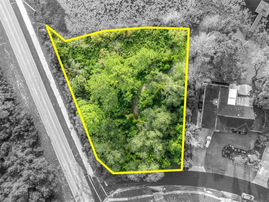 2163 Van Orman Drive Deltona FL 32725 - DUPONT V4945326 image8