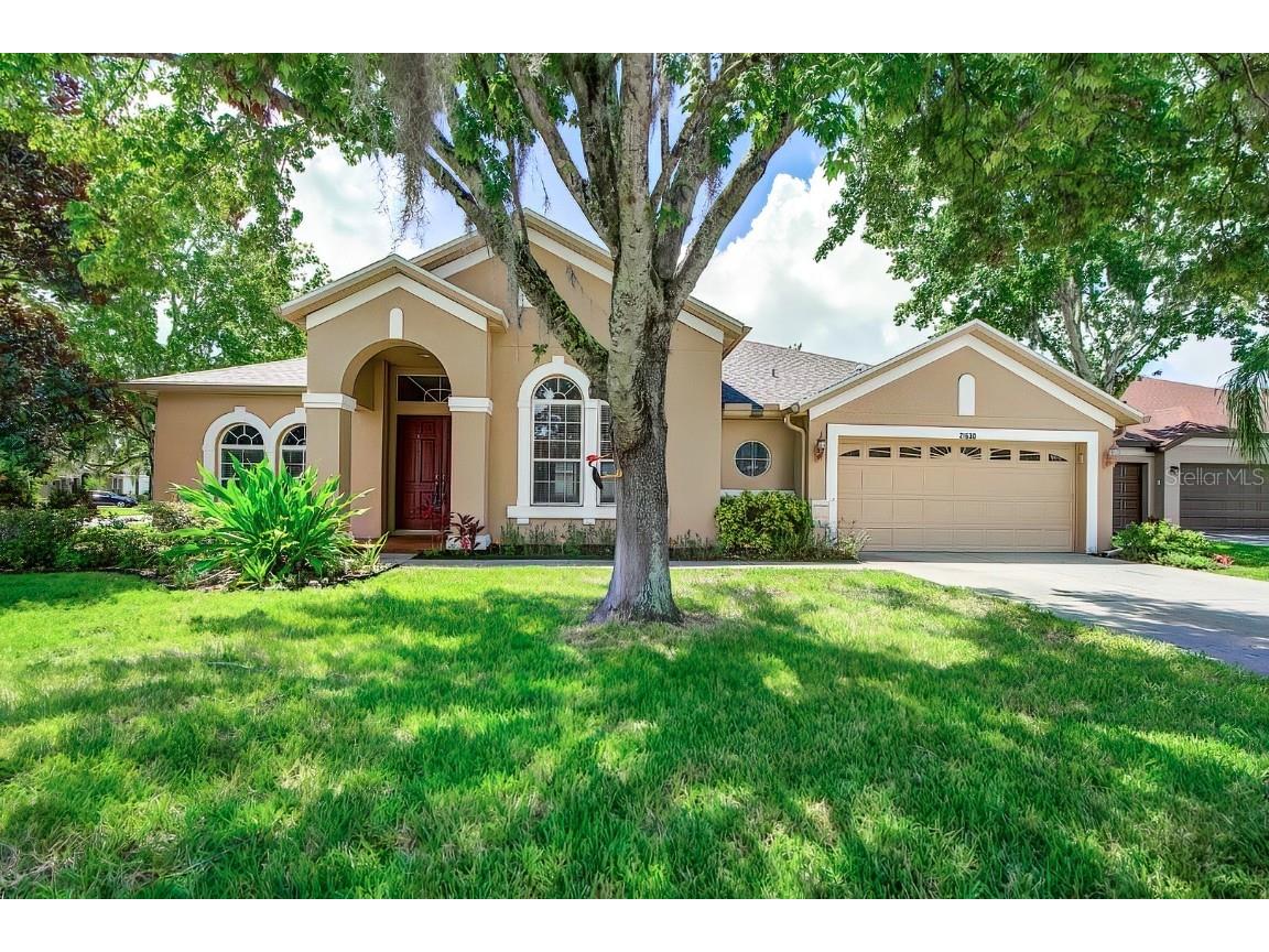 21630 Cormorant Cove Drive Land O Lakes FL 34637 T3465537 image1