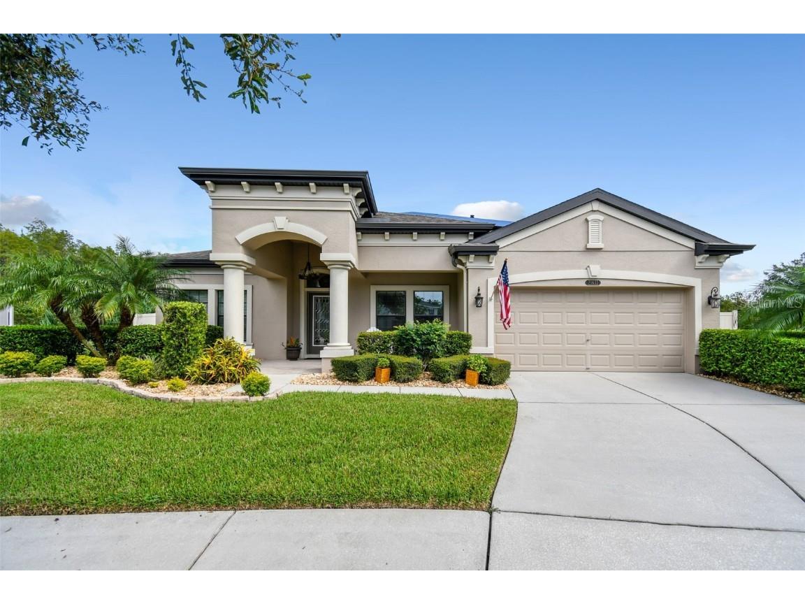 21633 Pearl Crescent Court Land O Lakes FL 34637 T3471578 image1
