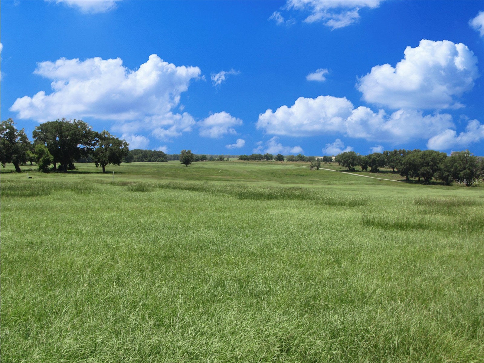 21635 SW 10th Street Dunnellon FL 34431 TB8458384 image1