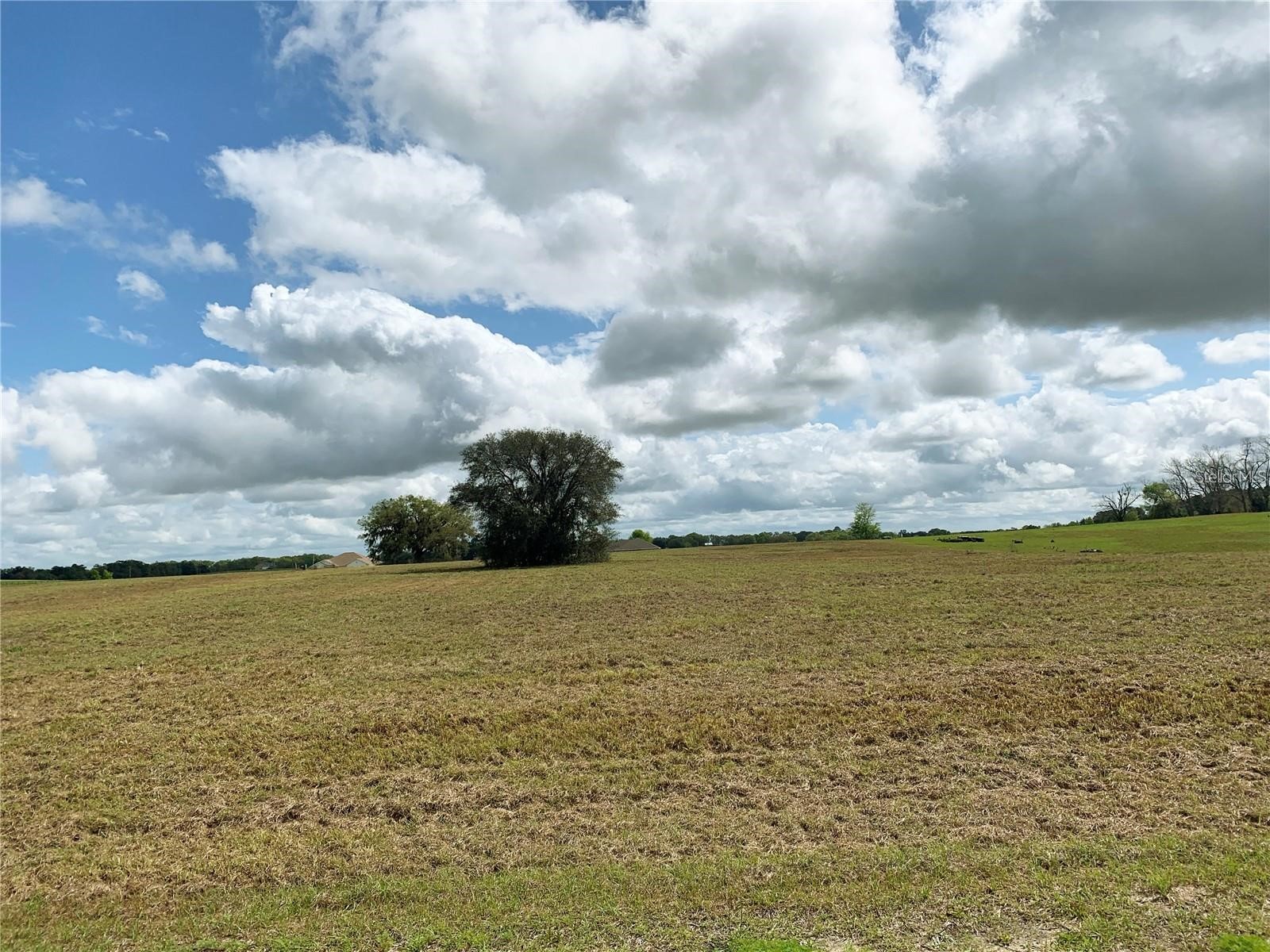 21635 SW 10th Street Dunnellon FL 34431 TB8494568 image15