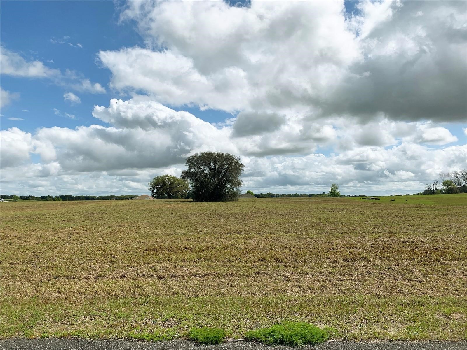21635 SW 10th Street Dunnellon FL 34431 TB8494568 image16