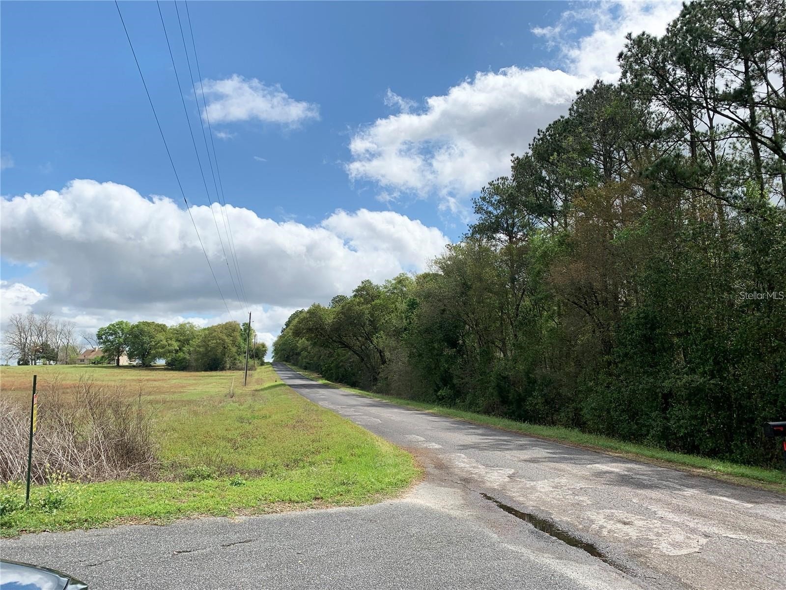 21635 SW 10th Street Dunnellon FL 34431 TB8494568 image19