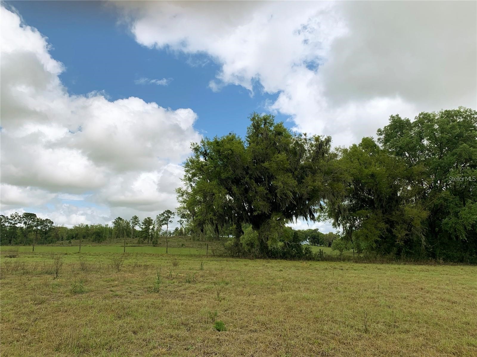 21635 SW 10th Street Dunnellon FL 34431 TB8494568 image23