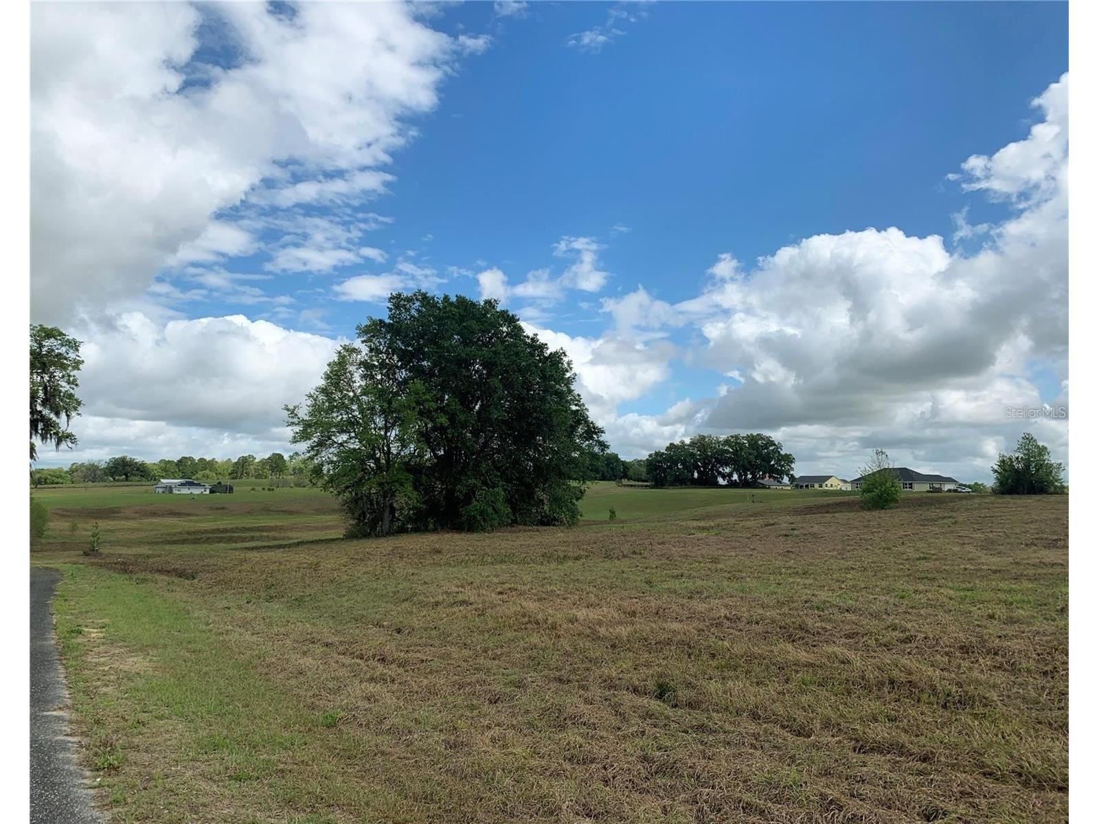 21635 SW 10th Street Dunnellon FL 34431 TB8494568 image4