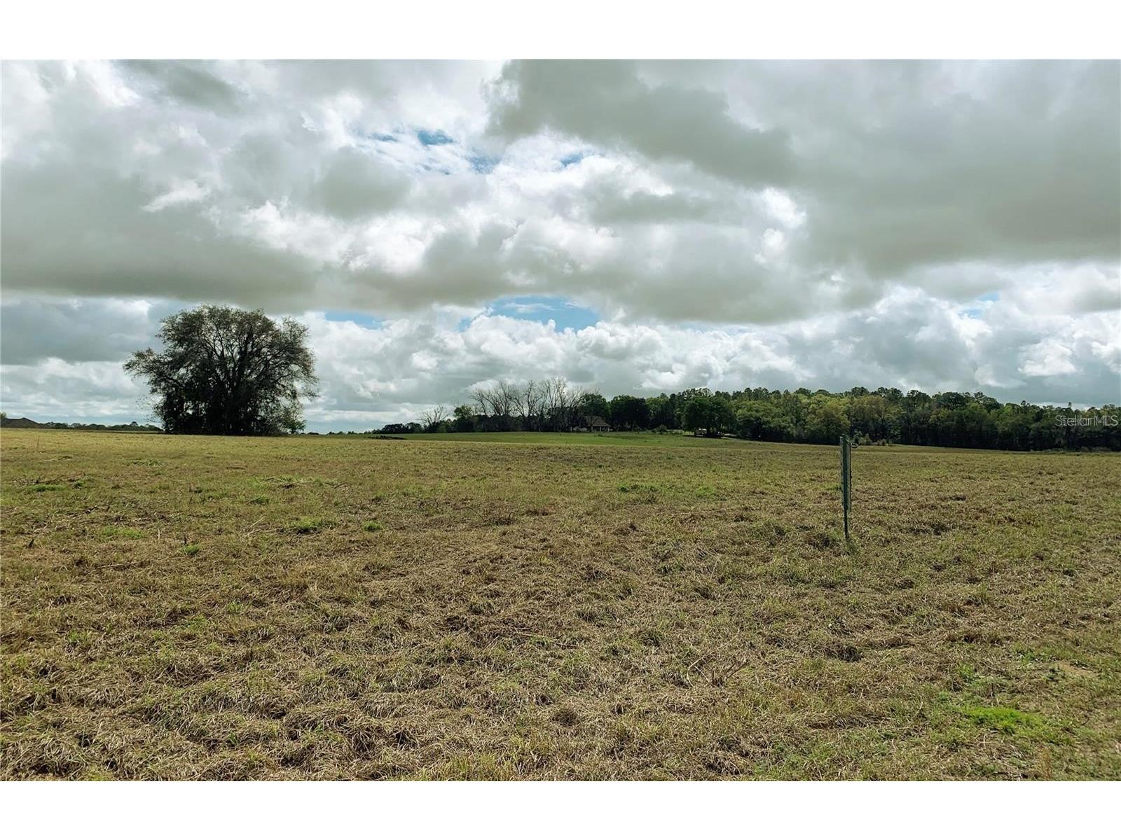 21635 SW 10th Street Dunnellon FL 34431 TB8494568 image5
