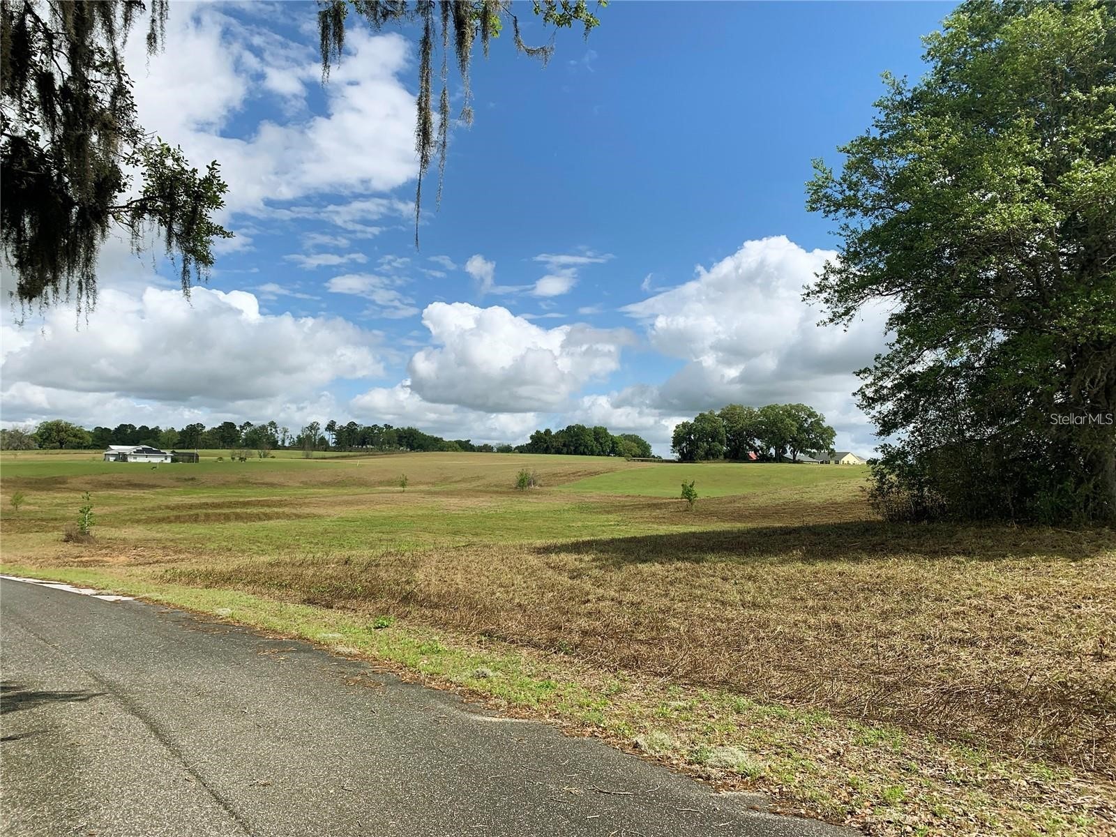 21635 SW 10th Street Dunnellon FL 34431 TB8494568 image8