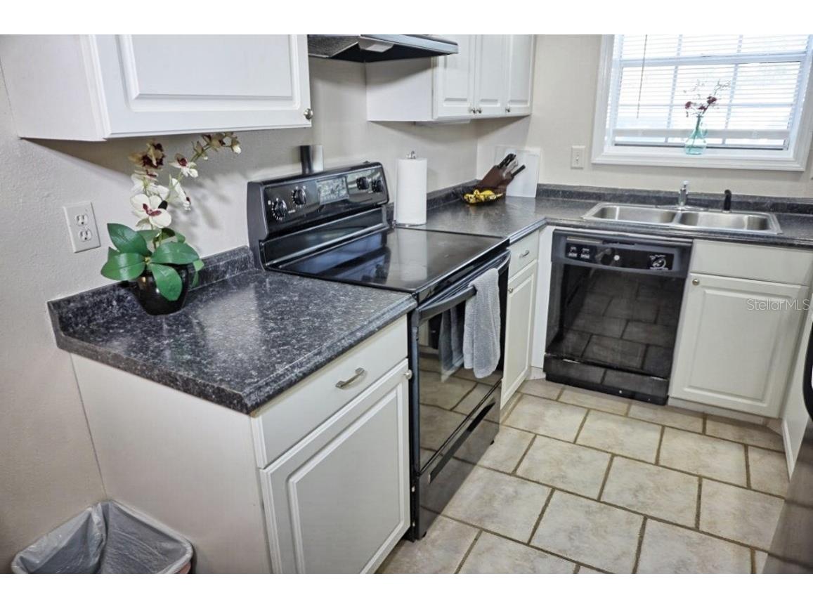 2164 Vista Del Sol Circle #505 Lutz FL 33558 W7872118 image17