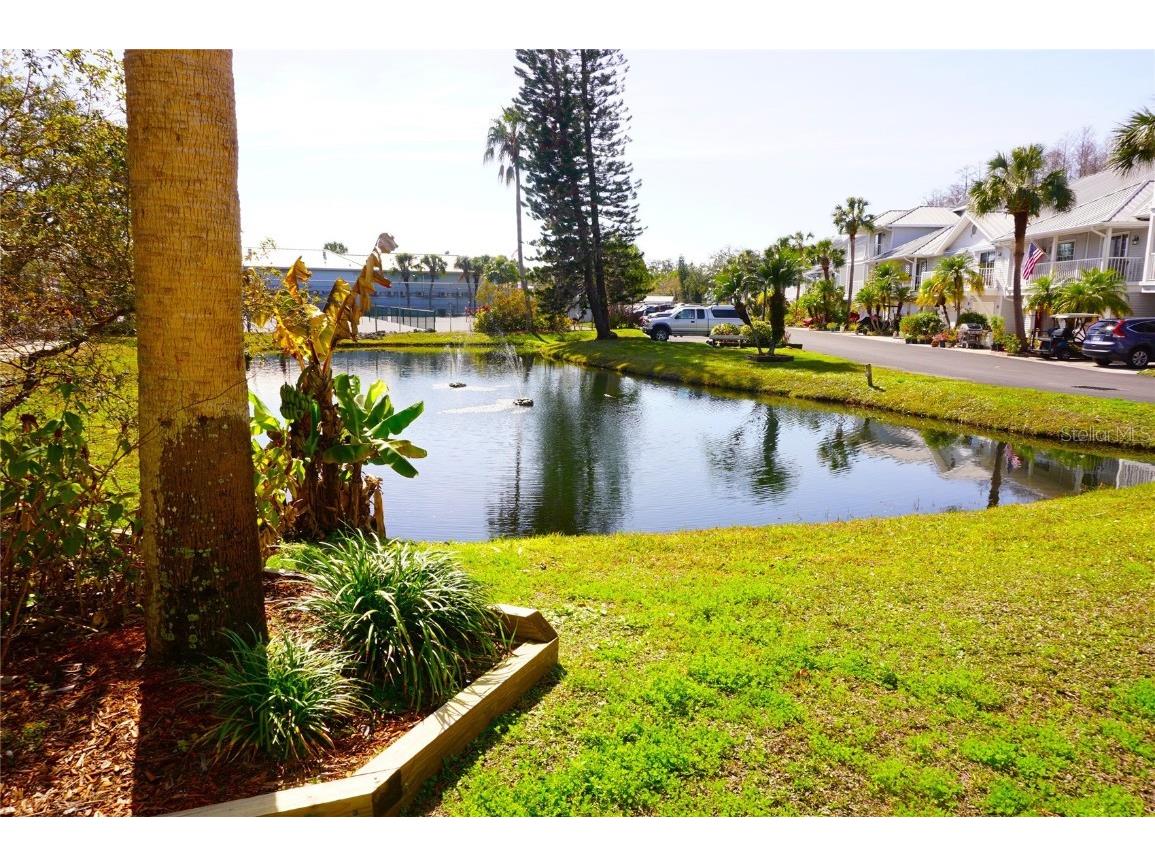 2164 Vista Del Sol Circle #505 Lutz FL 33558 W7872118 image30