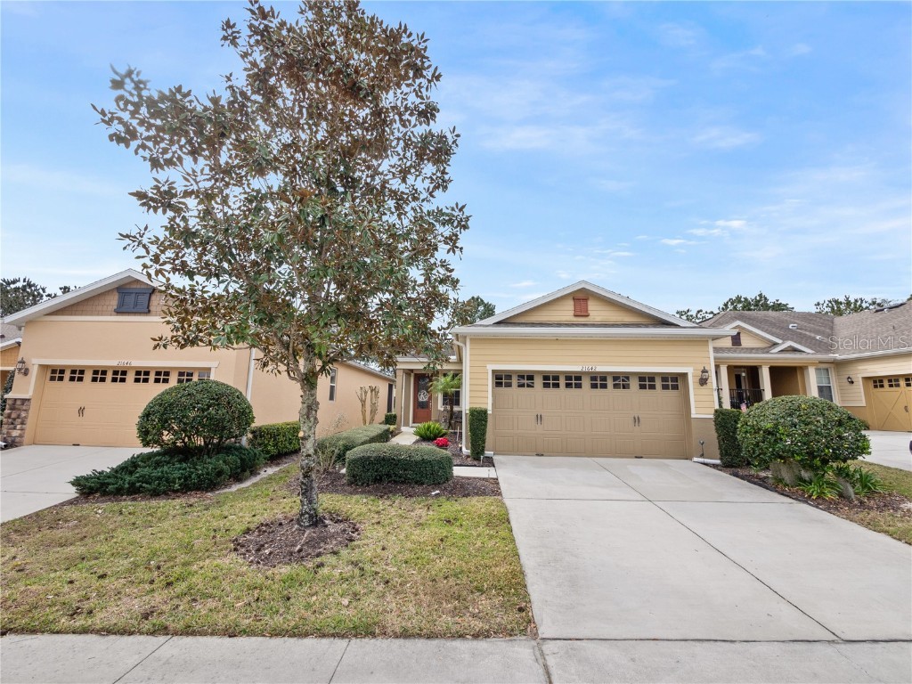 21642 Belgian Court Mount Dora FL 32757 O6178659 image1