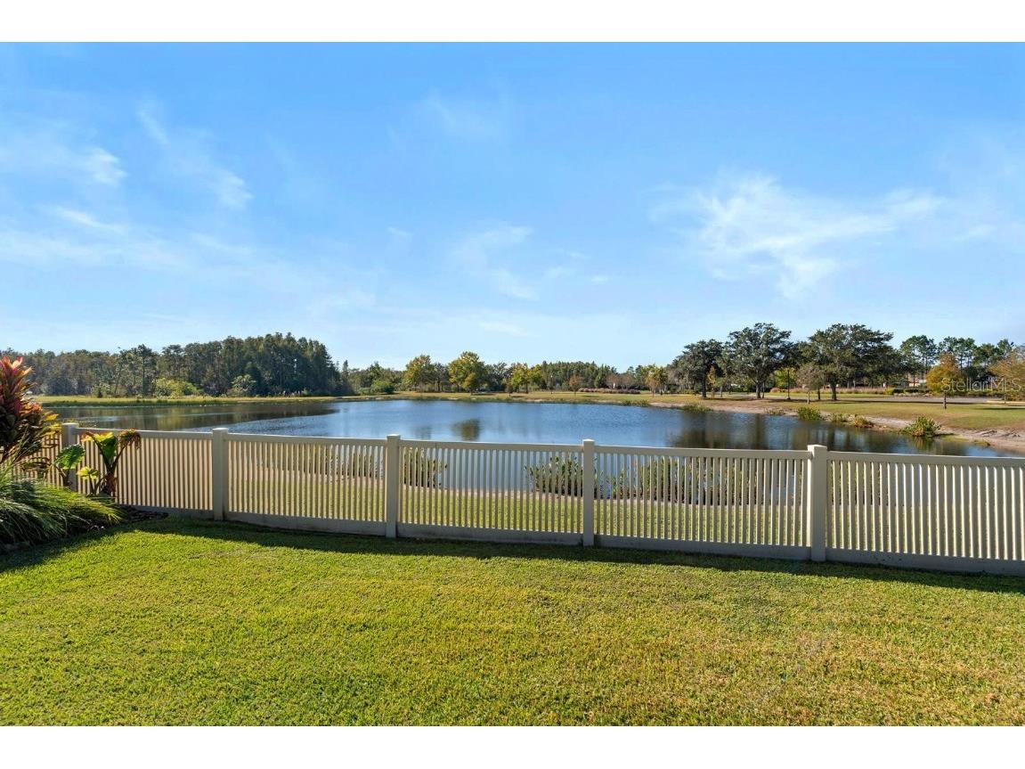 21642 Emory Oak Place Land O Lakes FL 34637 TB8446970 image33