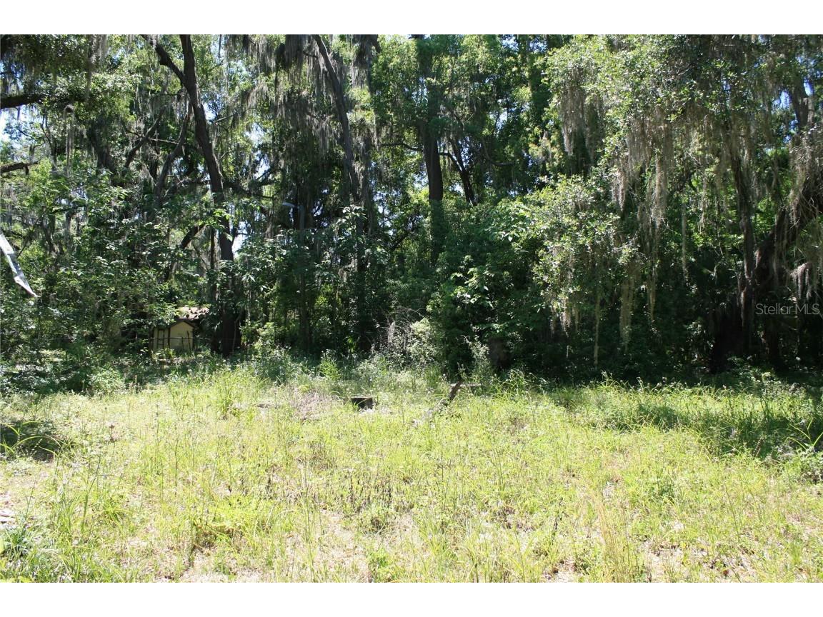 21646 NW 58th Court Micanopy FL 32667 GC521261 image11