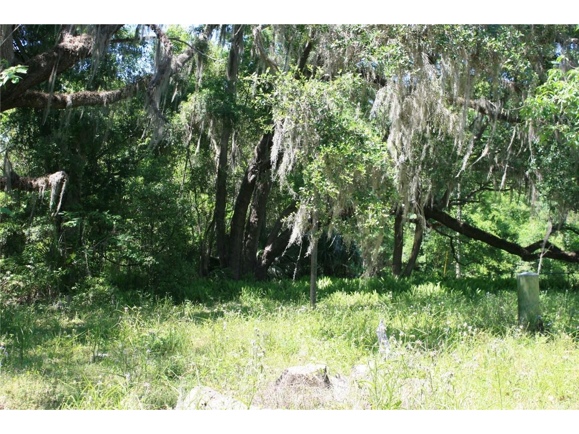 21646 NW 58th Court Micanopy FL 32667 GC521261 image13
