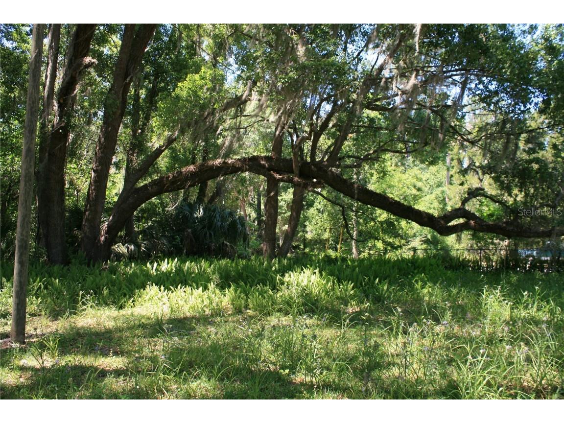 21646 NW 58th Court Micanopy FL 32667 GC521261 image14