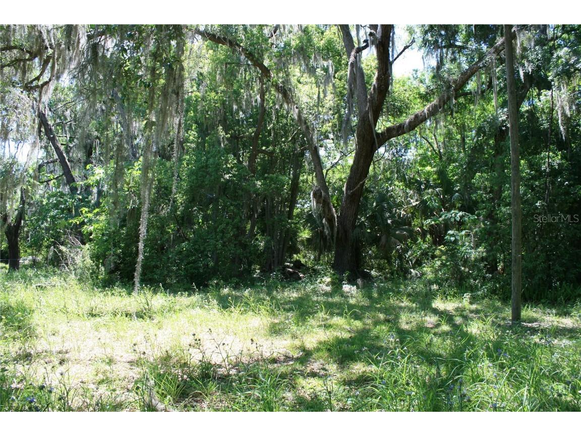 21646 NW 58th Court Micanopy FL 32667 GC521261 image9