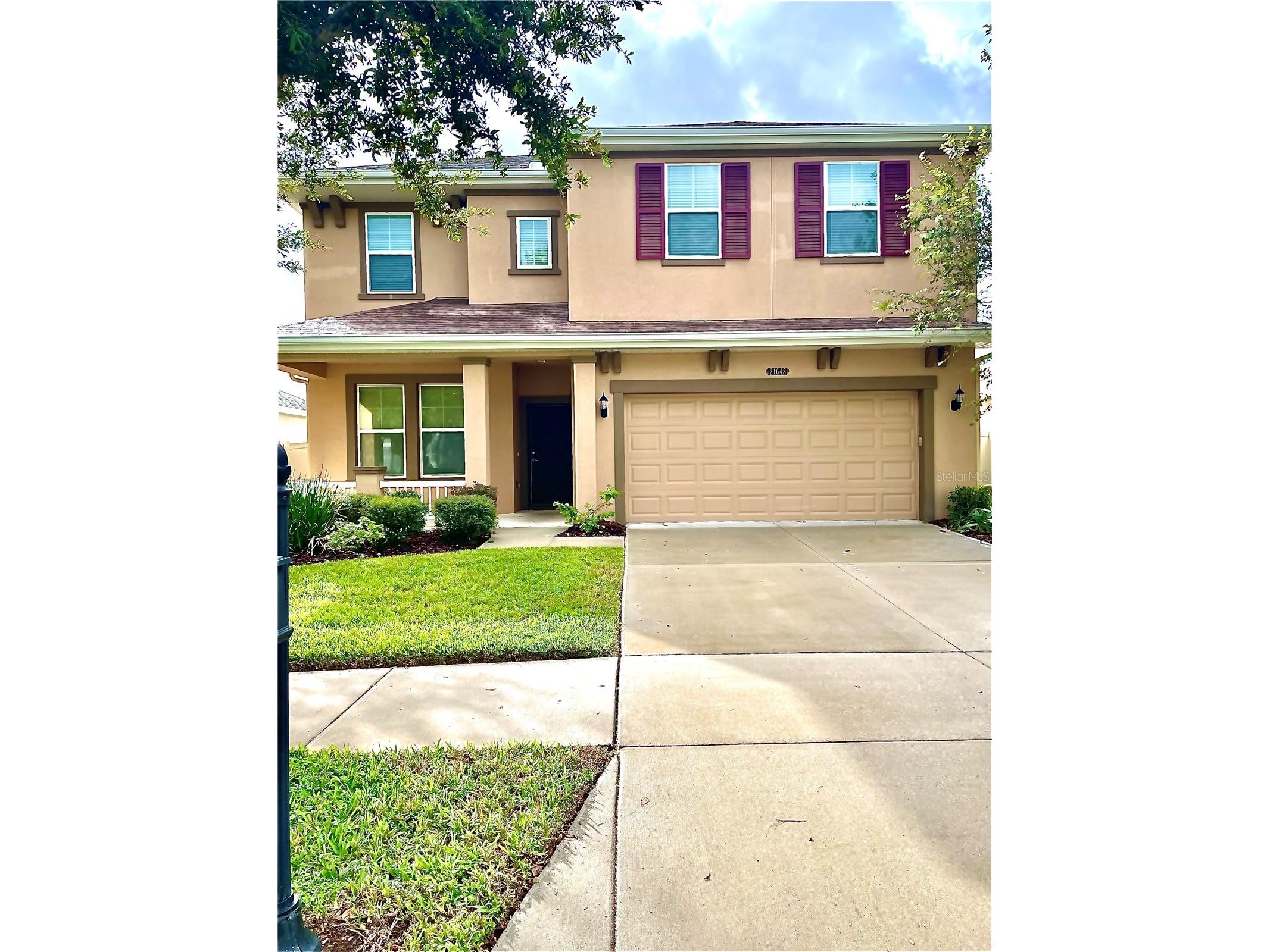 21648 Southern Charm Drive Land O Lakes FL 34637 TB8519836 image1