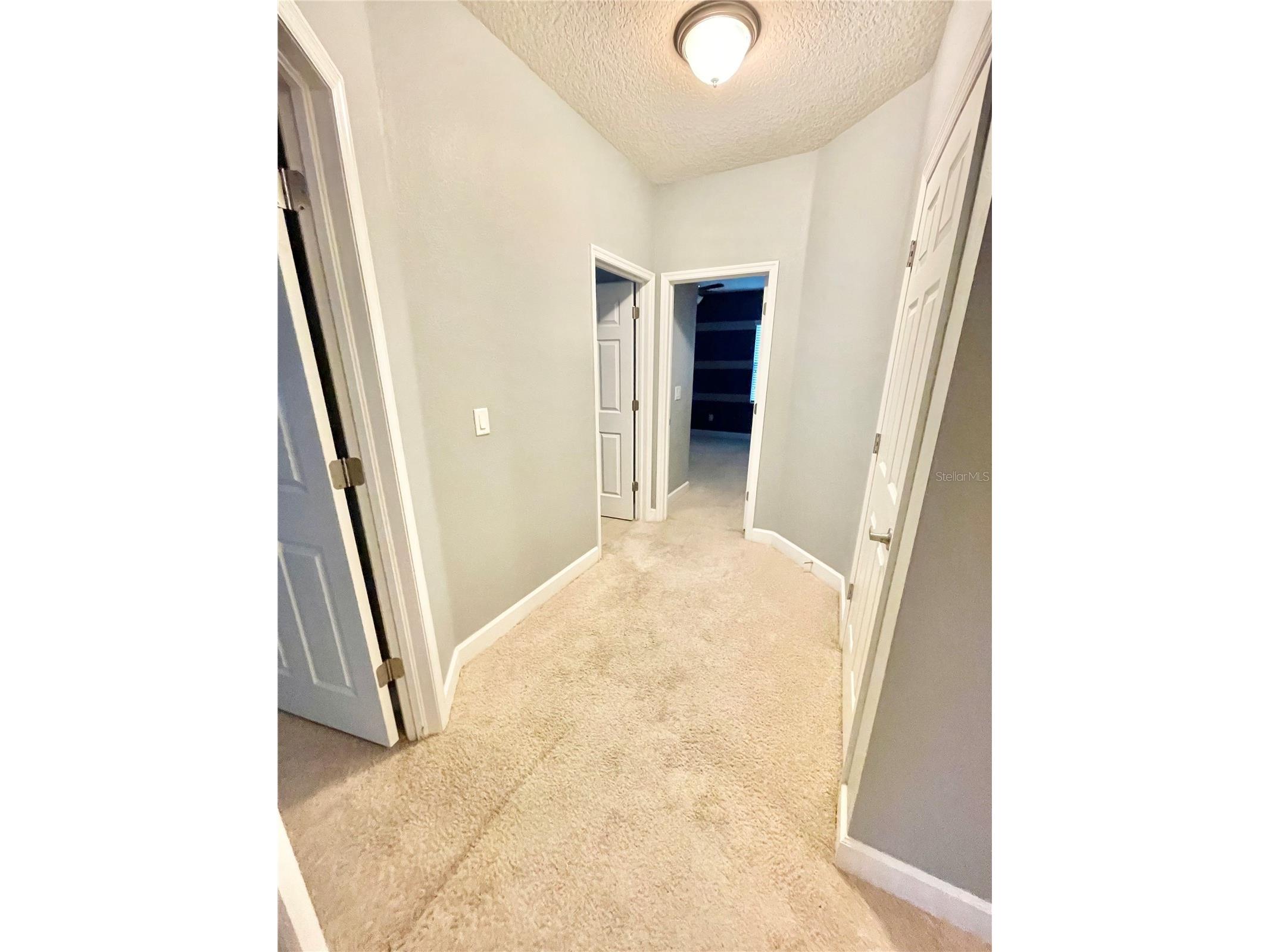 21648 Southern Charm Drive Land O Lakes FL 34637 TB8519836 image12
