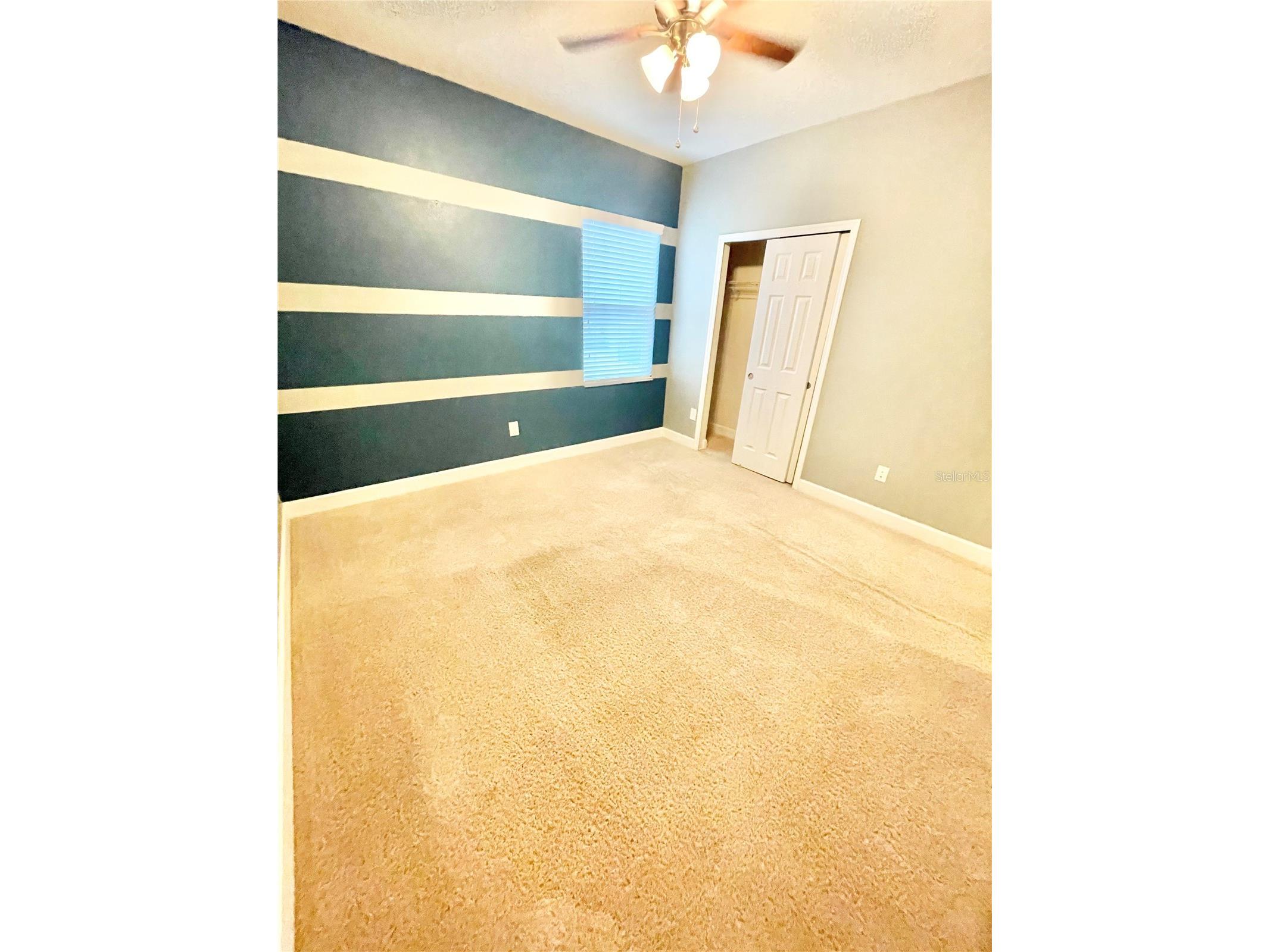 21648 Southern Charm Drive Land O Lakes FL 34637 TB8519836 image18