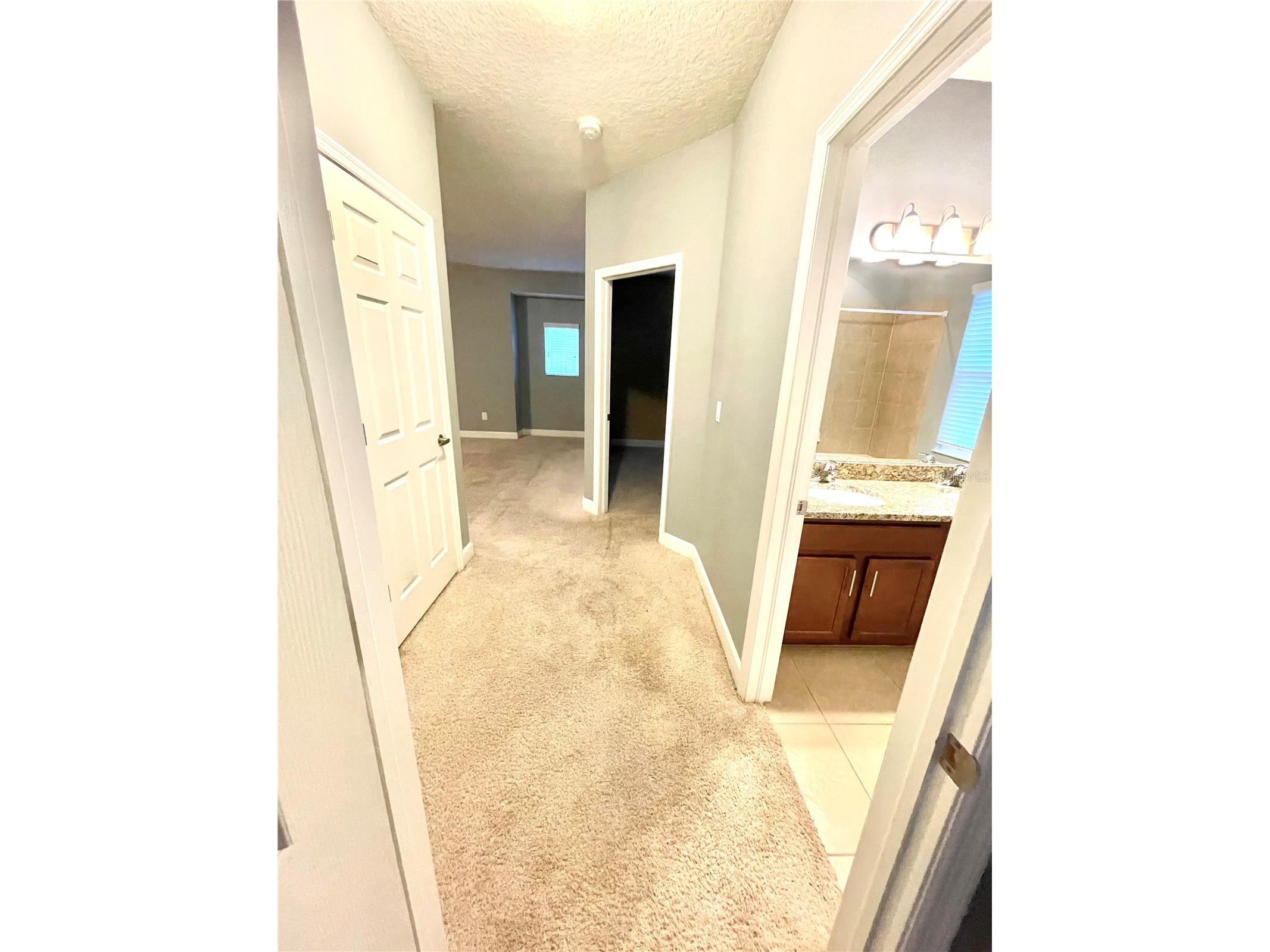 21648 Southern Charm Drive Land O Lakes FL 34637 TB8519836 image19