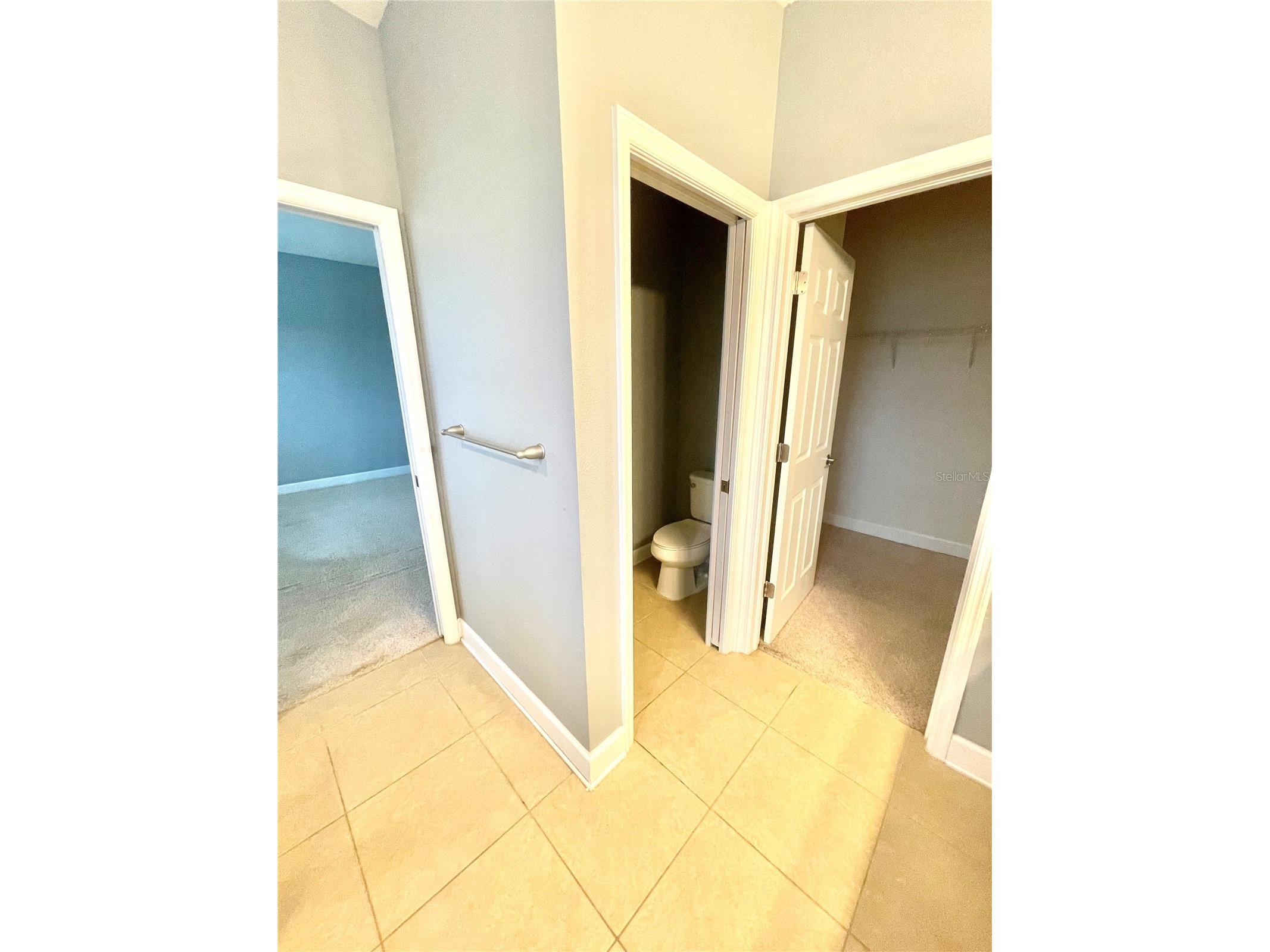 21648 Southern Charm Drive Land O Lakes FL 34637 TB8519836 image32