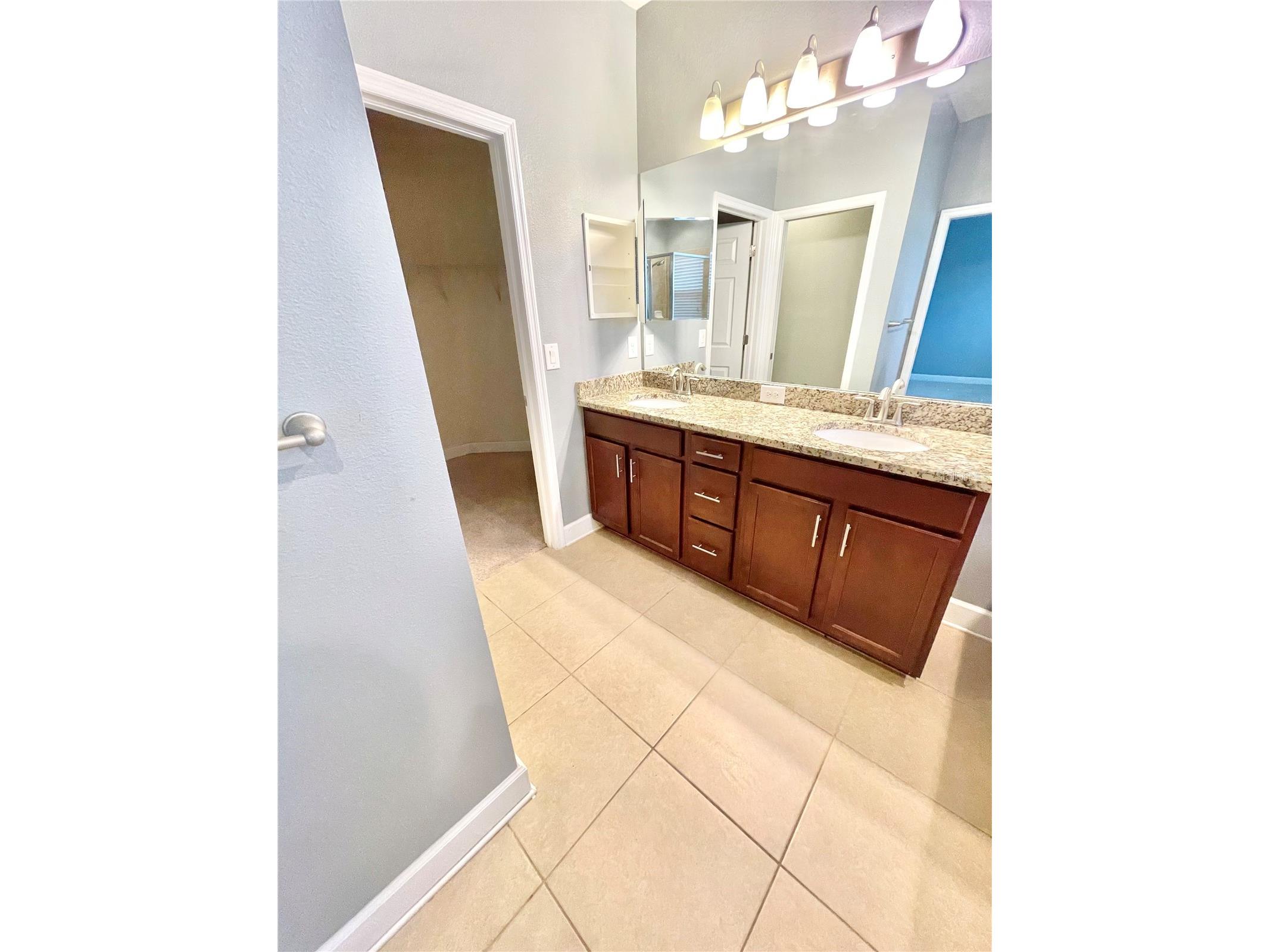 21648 Southern Charm Drive Land O Lakes FL 34637 TB8519836 image36