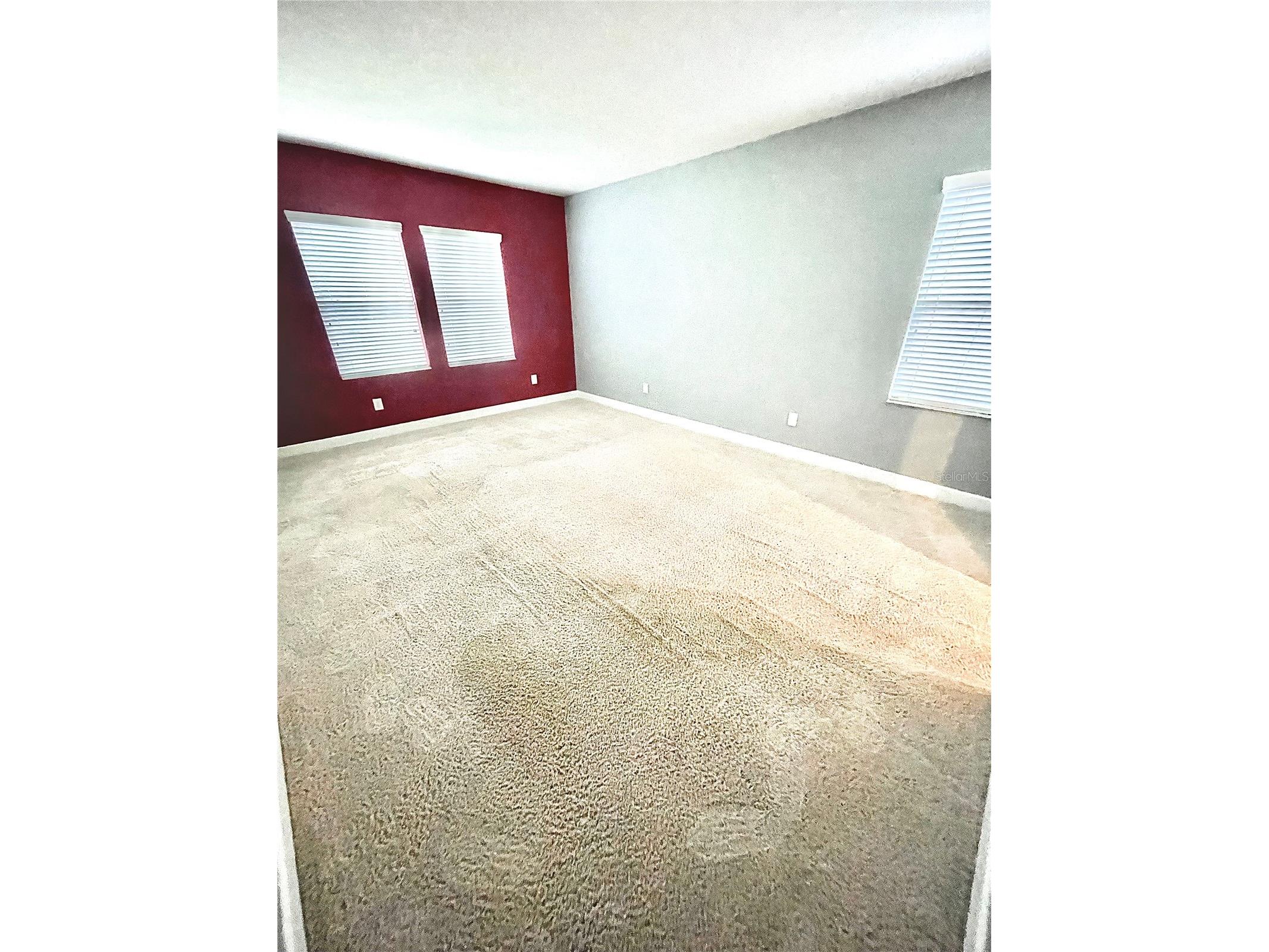 21648 Southern Charm Drive Land O Lakes FL 34637 TB8519836 image39
