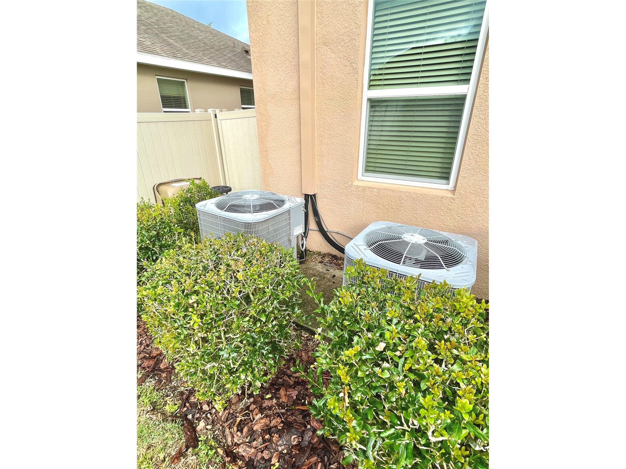 21648 Southern Charm Drive Land O Lakes FL 34637 TB8519836 image4