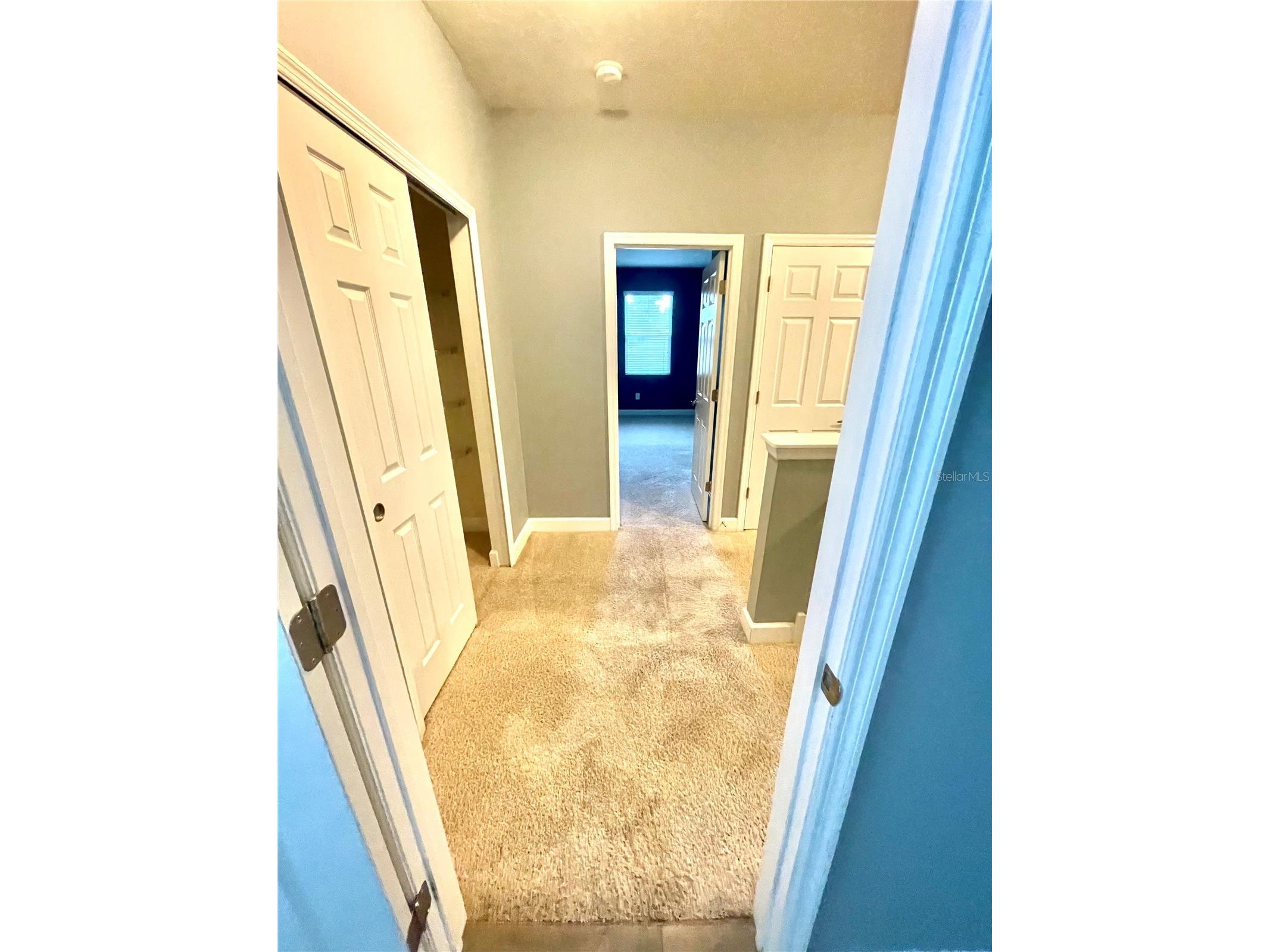 21648 Southern Charm Drive Land O Lakes FL 34637 TB8519836 image40