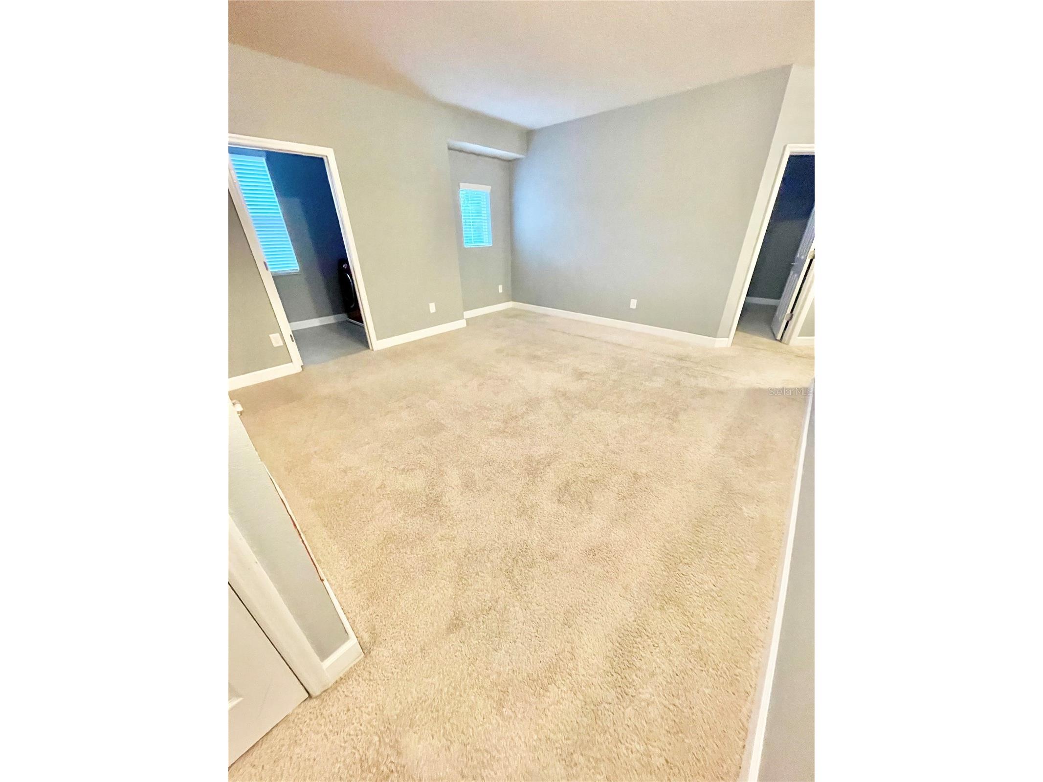 21648 Southern Charm Drive Land O Lakes FL 34637 TB8519836 image8