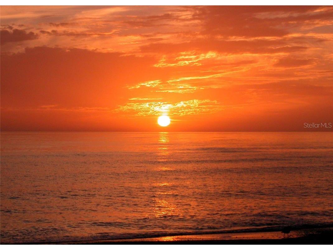 2165 Gulf Of Mexico Drive #114 Longboat Key FL 34228 - GULF OF AMERICA A4661123 image41