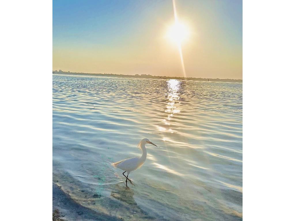 2165 Gulf Of Mexico Drive #114 Longboat Key FL 34228 - GULF OF AMERICA A4661123 image50