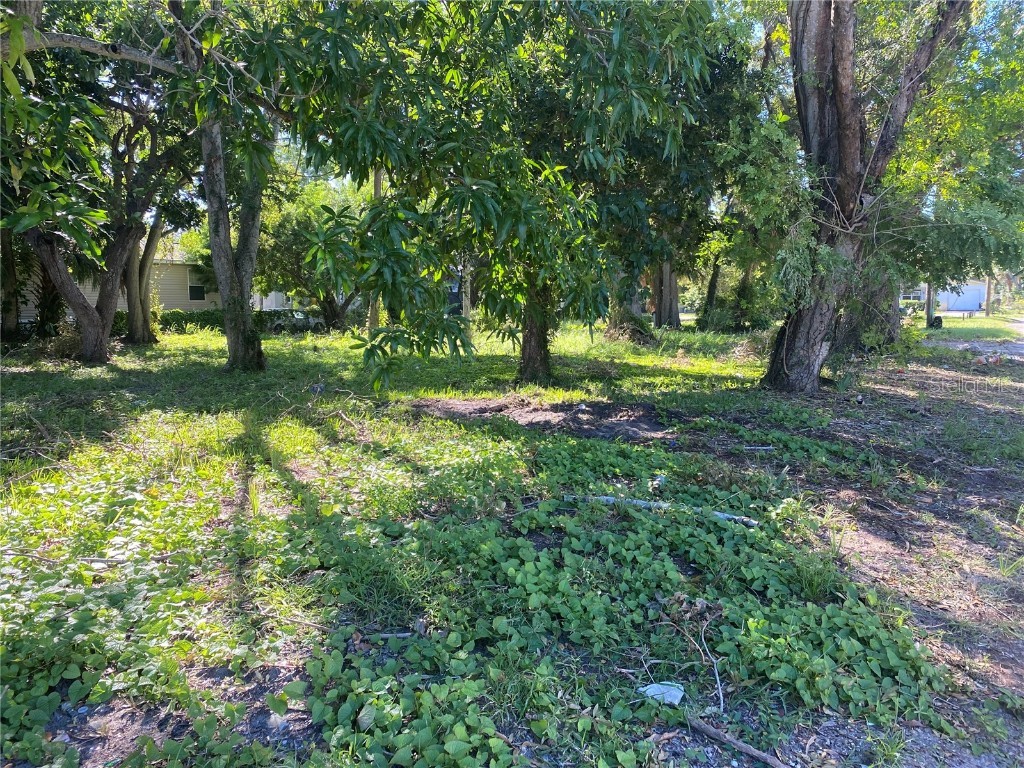 2166 16th Avenue S Saint Petersburg FL 33712 U8179176 image1