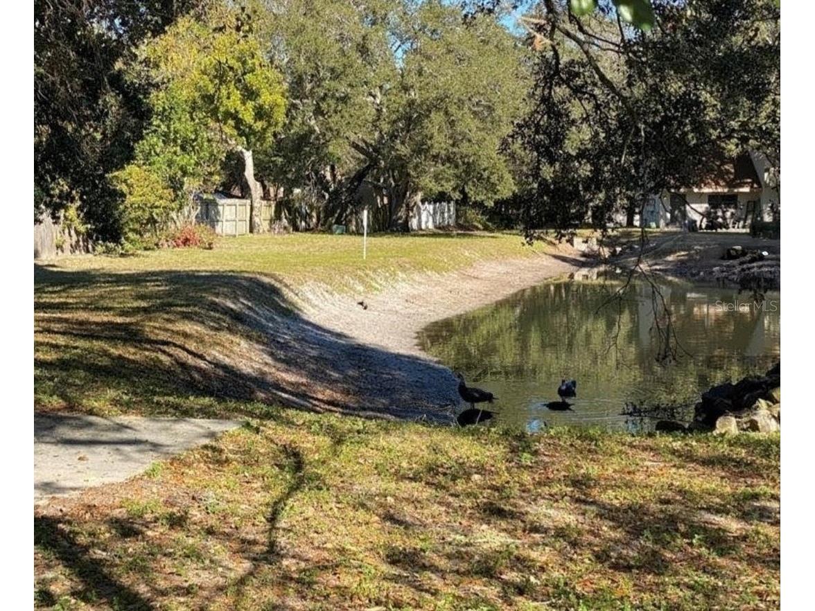 2166 Bradford Street #105 Clearwater FL 33760 TB8489016 image7