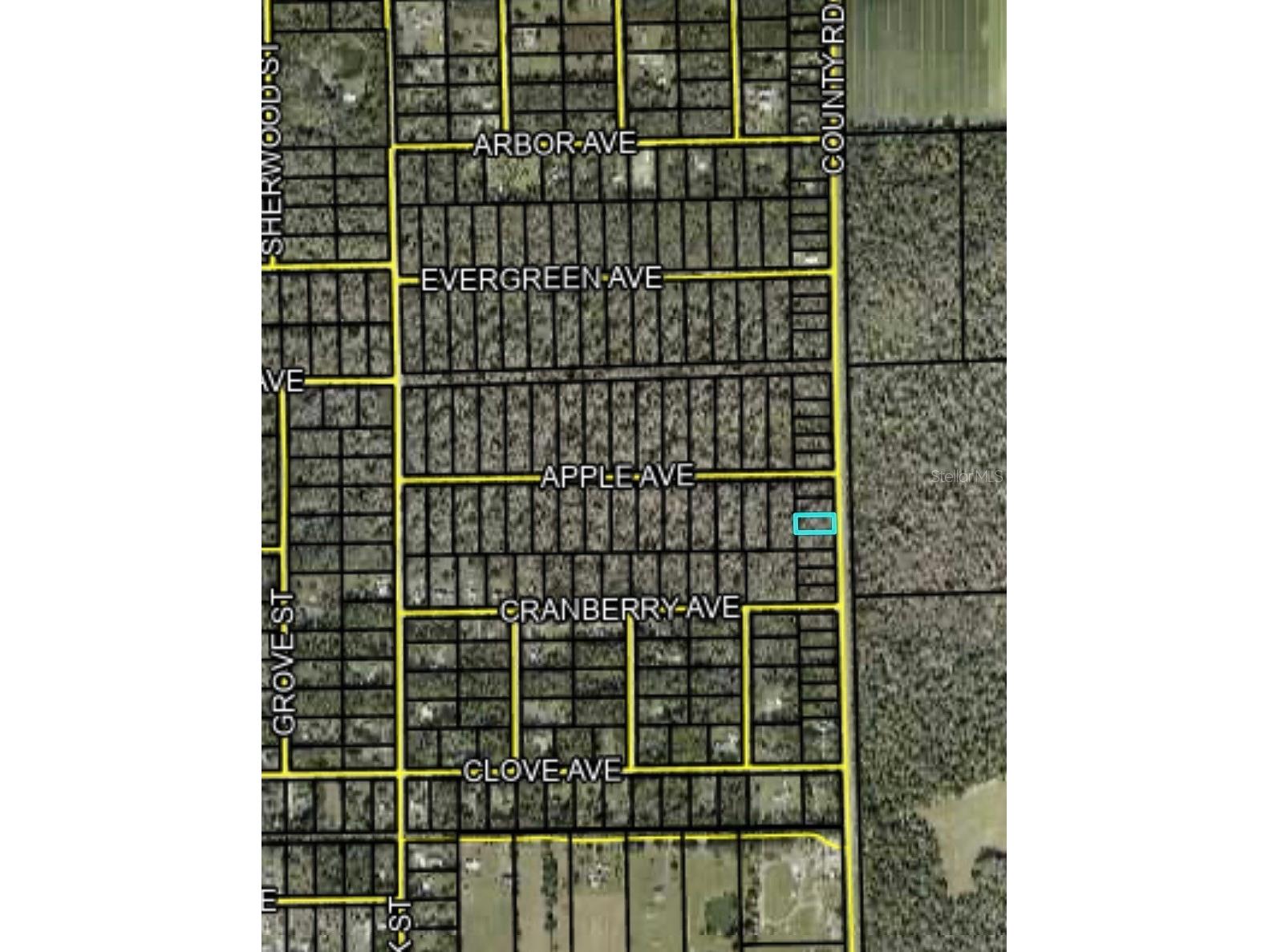 2166 Cr-305 Bunnell FL 32110 FC317629 image2