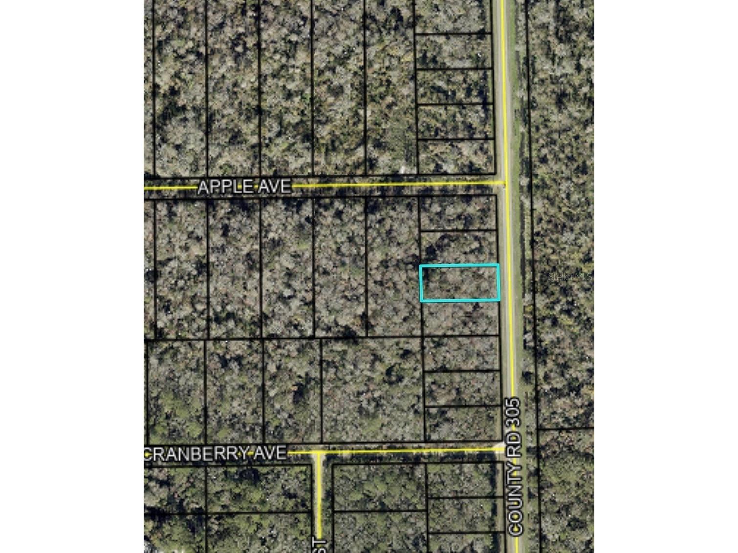 2166 Cr-305 Bunnell FL 32110 FC317629 image3