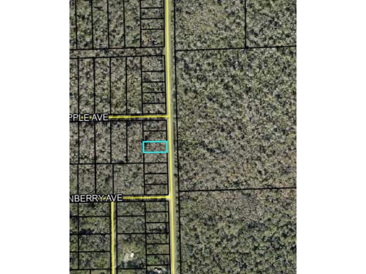 2166 Cr-305 Bunnell FL 32110 FC317629 image4