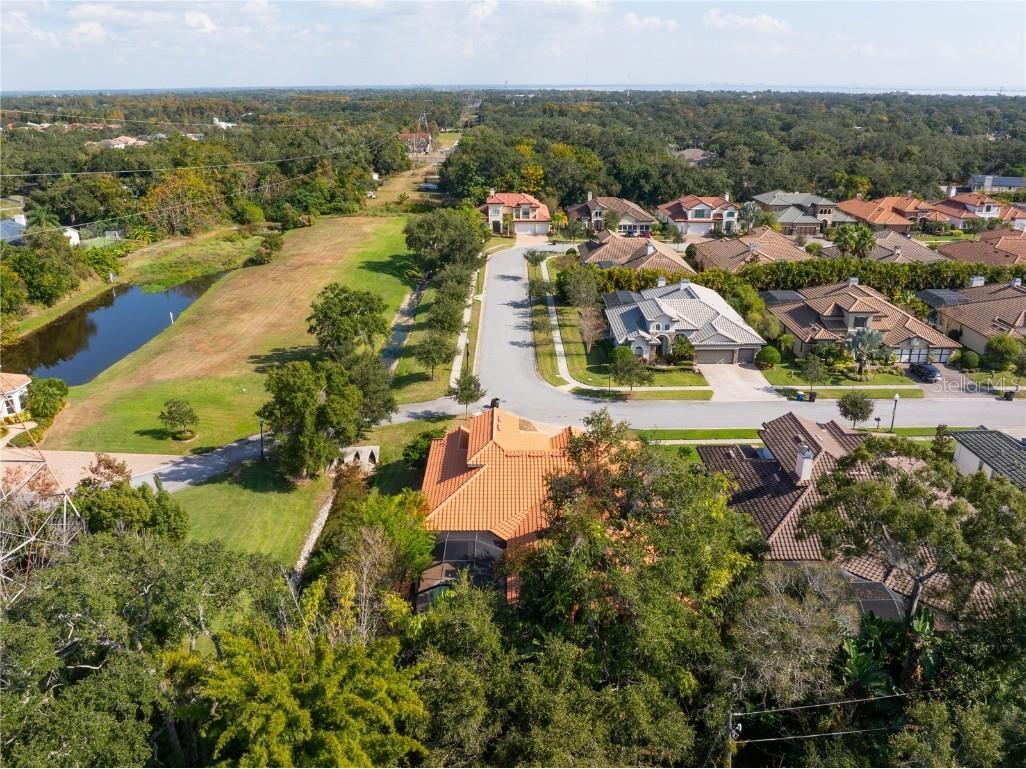 2166 Scarlet Oaks Street Clearwater FL 33759 TB8449562 image42