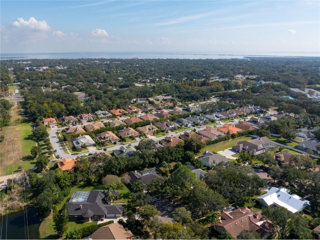 2166 Scarlet Oaks Street Clearwater FL 33759 TB8449562 image43