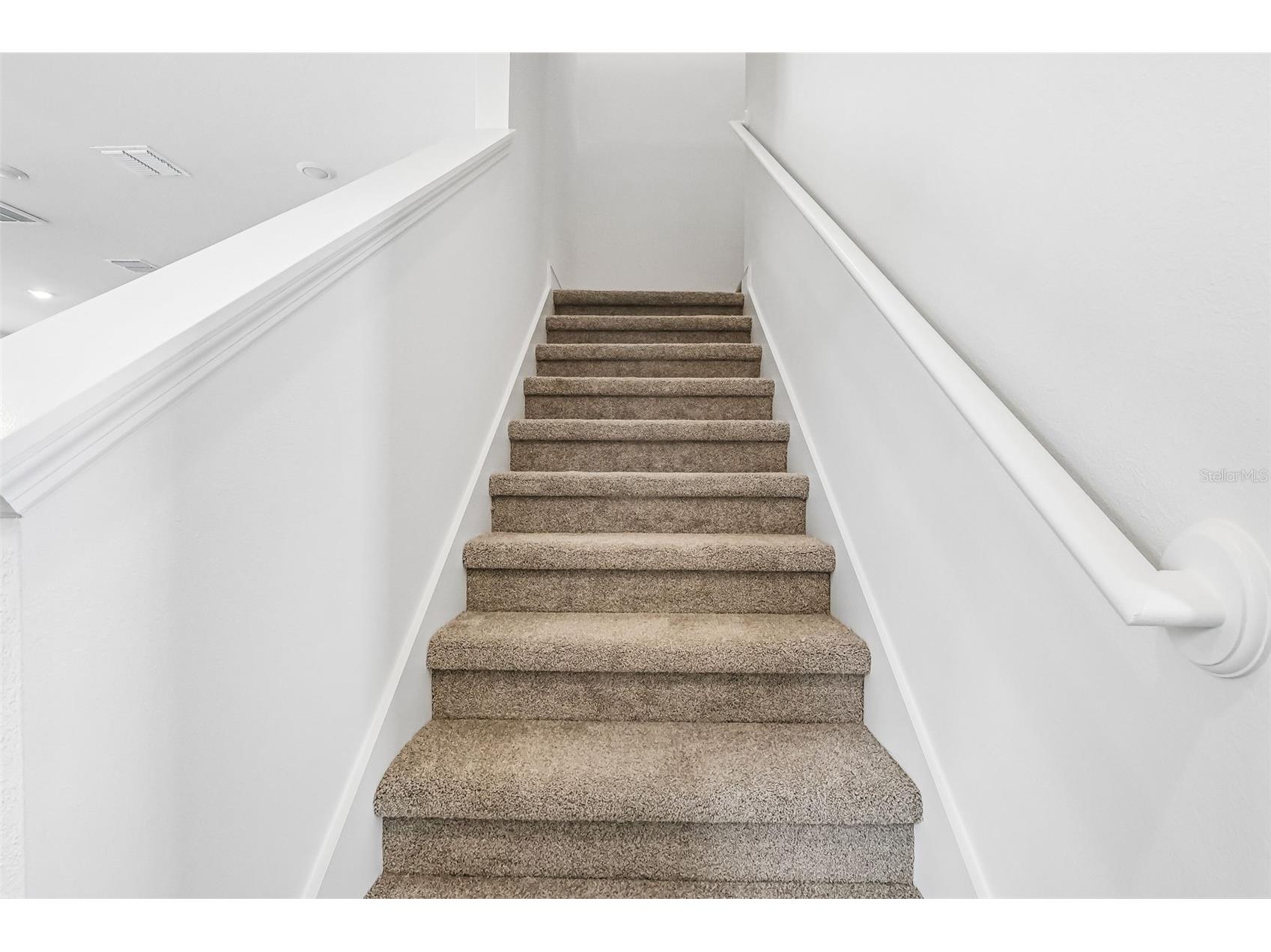 2166 Wildberry Way Minneola FL 34715 TB8487395 image19