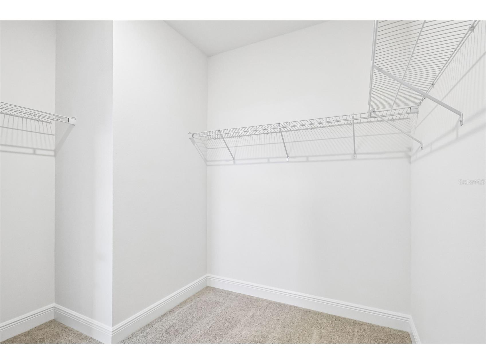 2166 Wildberry Way Minneola FL 34715 TB8487395 image34