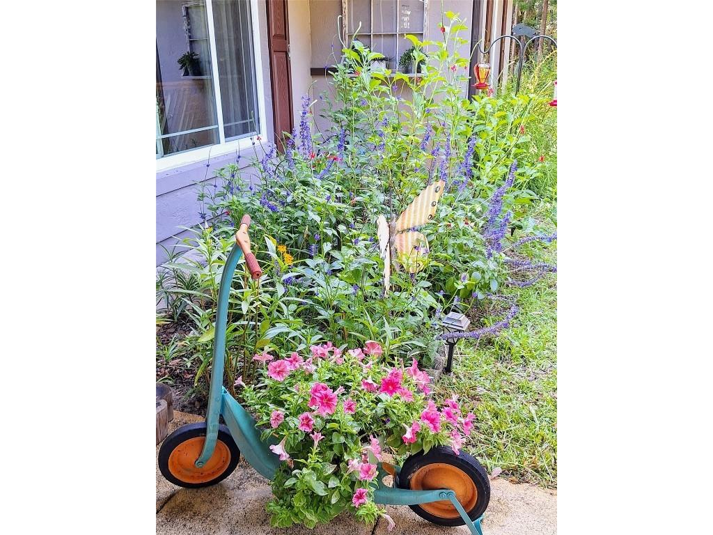 21661 SW 102nd Street Road Dunnellon FL 34431 OM713284 image42