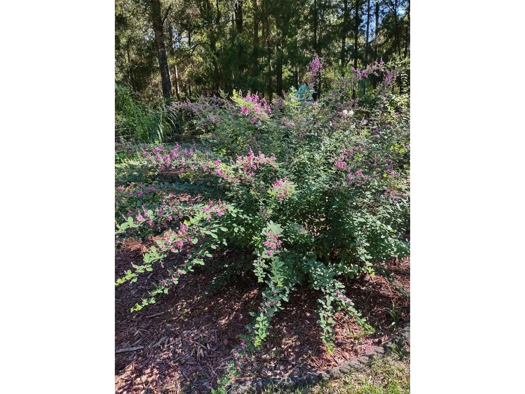 21661 SW 102nd Street Road Dunnellon FL 34431 OM713284 image43