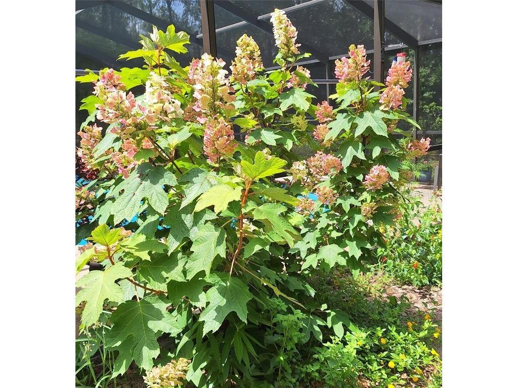 21661 SW 102nd Street Road Dunnellon FL 34431 OM713284 image44