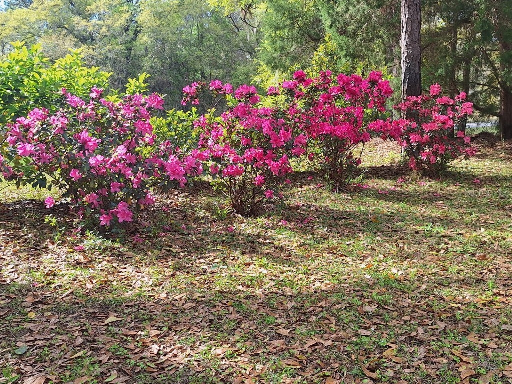 21661 SW 102nd Street Road Dunnellon FL 34431 OM713284 image45