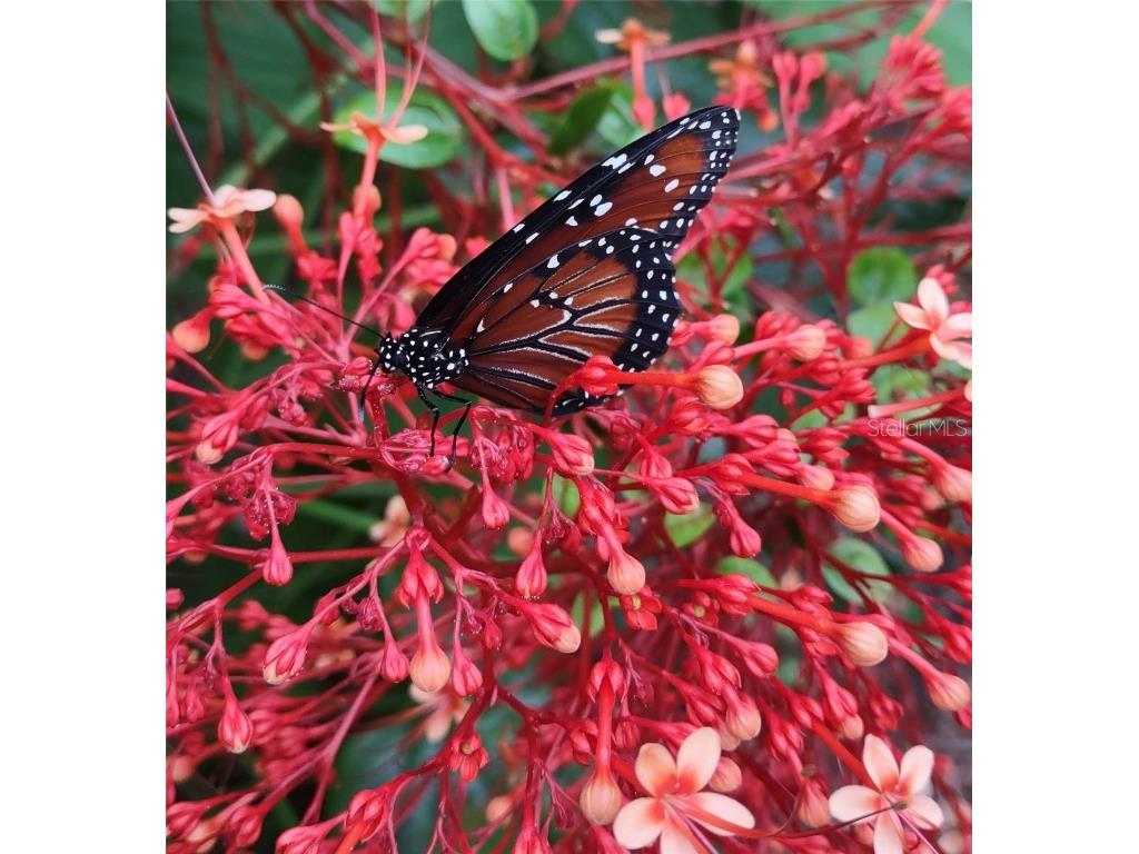 21661 SW 102nd Street Road Dunnellon FL 34431 OM713284 image47