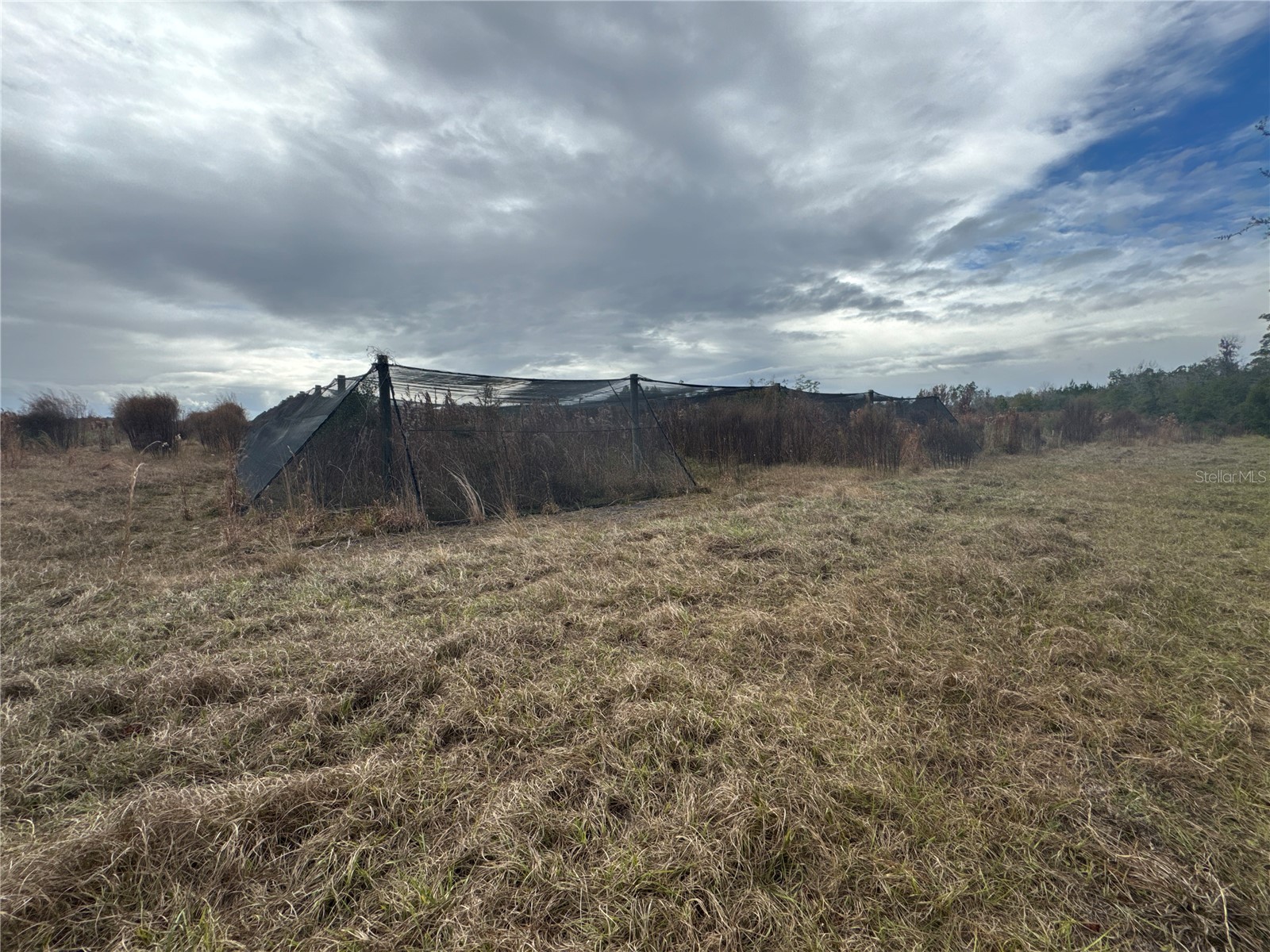 21665 SE 177th Avenue Hawthorne FL 32640 OM715778 image10