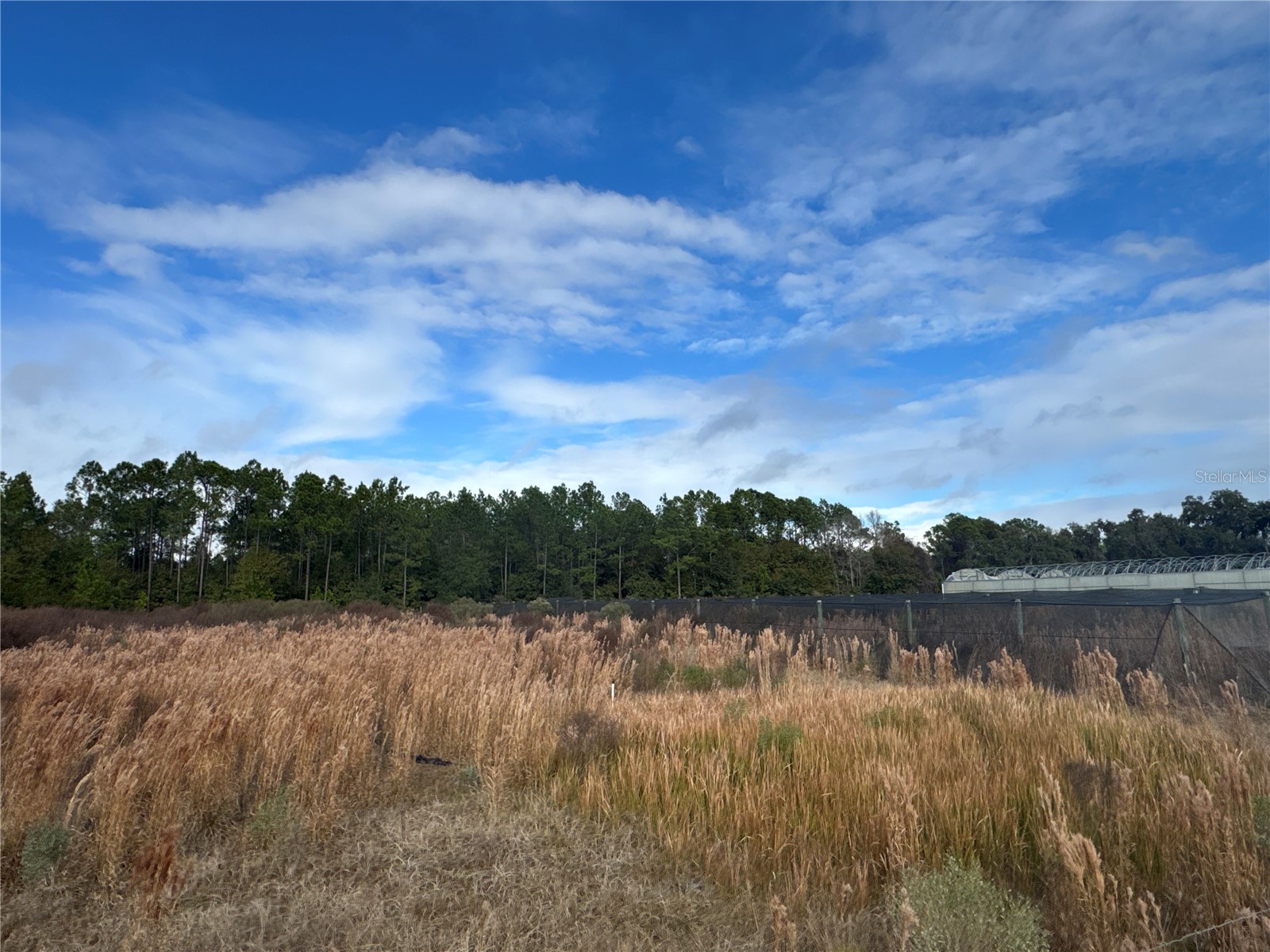 21665 SE 177th Avenue Hawthorne FL 32640 OM715778 image12